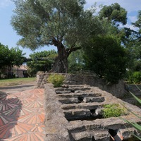 Photo de France - Le Jardin de Saint-Adrien : une oasis de verdure